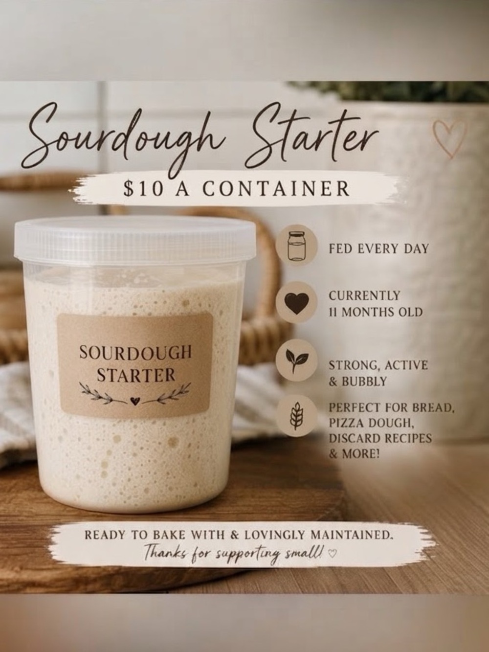 Sourdough Starter (11 Months Old) – $10 Each or 2 for $15 🥖